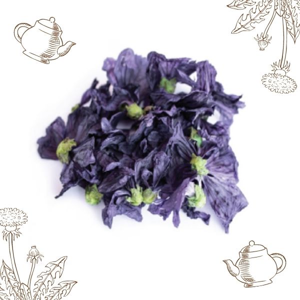 Malva Silvestre Infusão Revitalizante Malva Silvestre